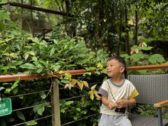 -杭州开元森泊度假乐园