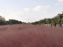 -嘉北郊野公园