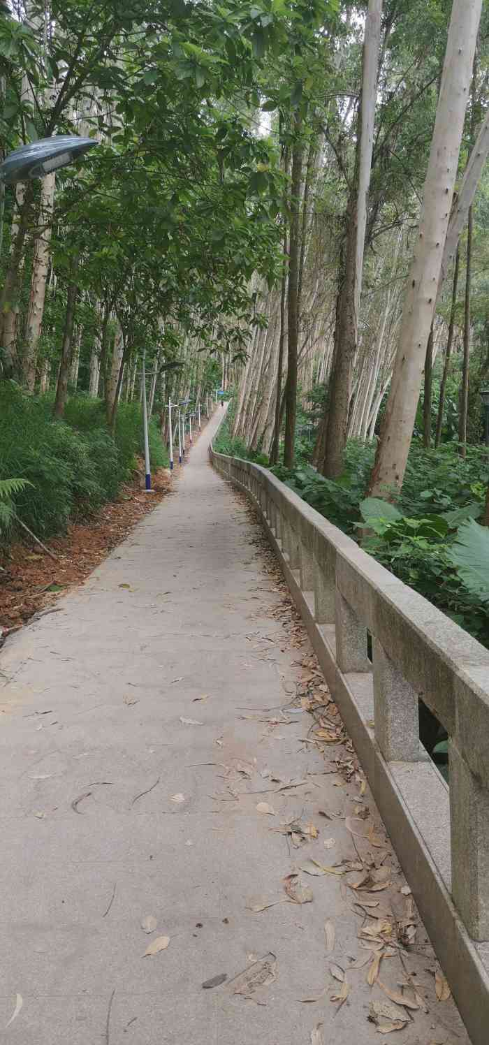 京溪生态公园"0元门票的溜娃圣地京溪生态公园,原名.