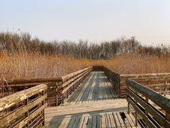 -马家湾湿地公园