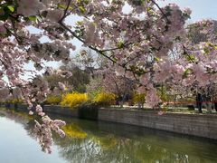 -元大都城垣遗址公园