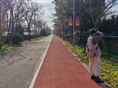 -上海长兴岛郊野公园