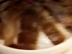 -同仁四季椰子鸡(福田东园总店)