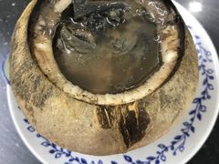 -達揚原味燉品(文明路店)