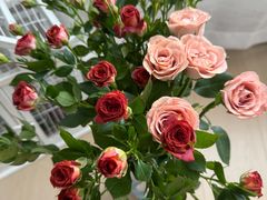 -循礼门鲜花花市(武汉循礼门店)