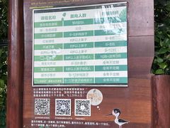 -华侨城湿地公园