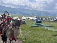 -新疆那拉提国家旅游度假区