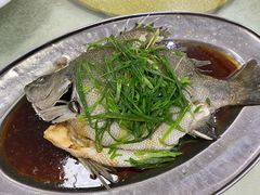 蒸珍珠斑-辉记虾塘海鲜农庄