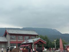 -少林寺欢喜地素斋馆