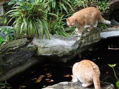 -谷咖啡·鲜花绿植花园餐厅