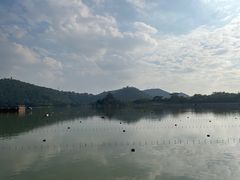 -顺峰山公园
