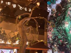 -桂满陇·海市蜃楼·黑金(国金店)