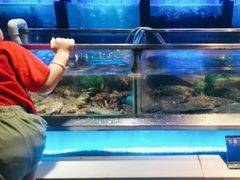 -V-ONE西雅图海鲜自助餐厅(仓山万达广场店)