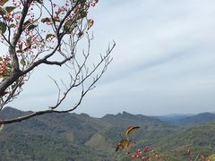 -天女山森林公园