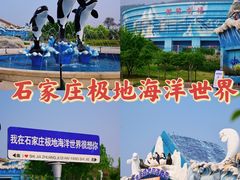 -石家庄极地海洋世界