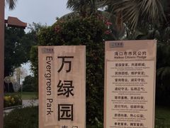 -万绿园