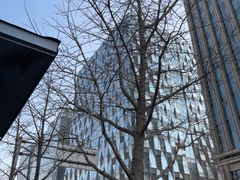 -Apple零售店(华贸购物中心店)