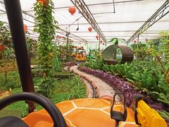 -南宫五洲植物乐园