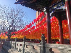 -护国法轮寺