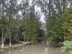 -桤木河湿地公园