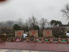 -香雪海