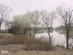 -尚贤河湿地