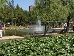 -前关湿地公园