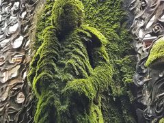 -Hōzen-ji Temple法善寺