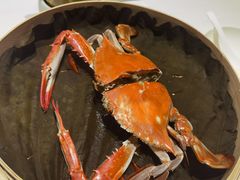 -鹿园 MOOSE(长宁店)