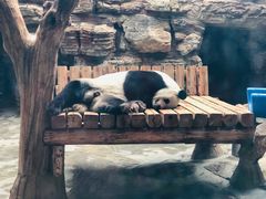 -石家庄市动物园