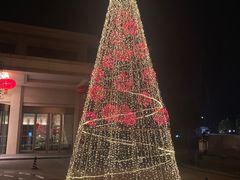 -成都安仁福朋喜来登酒店