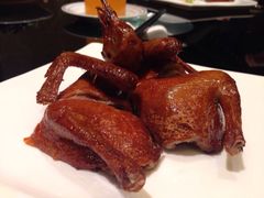 乳鸽-新南华大酒店(广中店)