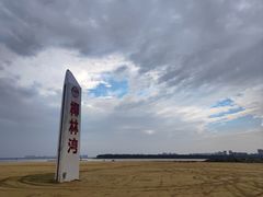 -东郊椰林