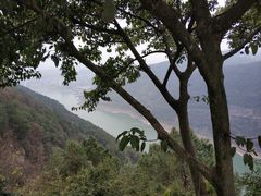 -铁山坪森林公园
