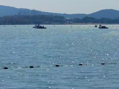 -贡湖湾湿地公园