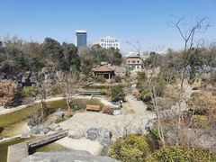 -上海吴淞炮台湾国家湿地公园