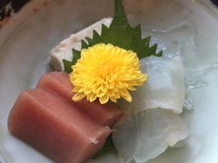 -先斗町卯柳