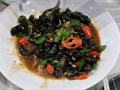 -品泉餐厅·大盆鱼·走地鸡