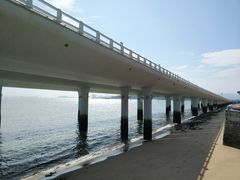 -演武大桥观景平台