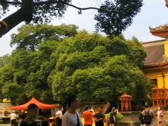 -桂林独秀峰王城景区
