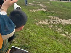 -盐城丹顶鹤湿地生态旅游区