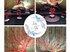 -东海珊瑚博物馆