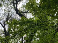 -会稽山峡洞漂流-上青古道