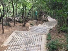 -紫金山山顶公园