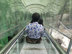 -佛爷洞旅游景区