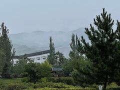 -大青山野生动物园