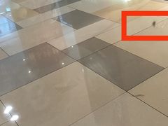 -鹏欣水游城