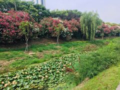 -江南大学(蠡湖校区)