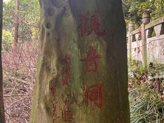 -午潮山国家森林公园