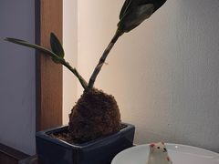 -彬媽糖水(万象天地店)